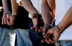 गहना,गाडी र जग्गाको कारोबार देखाएर करोडौं ठगी गरेको आरोपमा उपत्यकाको विभिन्न स्थानबाट चारजना पक्राउ